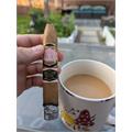 Southern Draw Rose of Sharon Desert Rose Belicoso Fino 5 1/2 * 54
