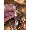Caldwell The King is Dead by AJ Fernandez Super Corona 7  * 46