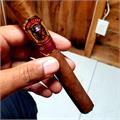 Micallef Migdalia Corona Extra 6  * 46
