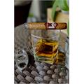 M Bourbon by Macanudo Robusto 5  * 50