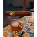 Mombacho Diplomatico Robusto 5  * 50