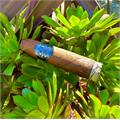 Room 101 The Big Payback Maduro Gordo 6  * 60