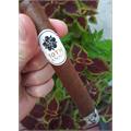 Room 101 10th Anniversary Toro 6  * 50