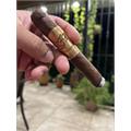 La Flor Dominicana 25th Anniversary 7  * 52