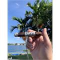 Blackbird 6-cigar Robusto Sampler 5  * 50