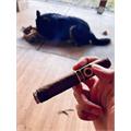 Odyssey Coffee Robusto 5  * 50