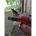 Camacho Nicaragua Robusto 5  * 52