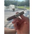 AVO Classic Maduro Robusto 5  * 50