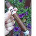 Cohiba Toro Royale 6  * 50