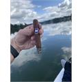 Crowned Heads Four Kicks Capa Especial Robusto 5  * 50