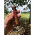 Aladino Cameroon Robusto 5  * 50