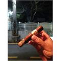 Bolivar Cofradia Robusto 5  * 54