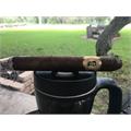 Bolivar Cofradia Torpedo 6 1/4 * 50