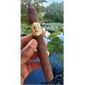 Bolivar Cofradia Torpedo 6 1/4 * 50