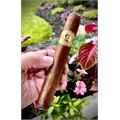 Bolivar Cofradia Toro 6  * 54