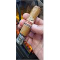 Harvester Connecticut Churchill 7  * 50