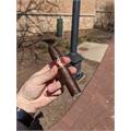 Deadwood Leather Rose Torpedo 5  * 54