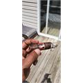 Deadwood Leather Rose Torpedo 5  * 54
