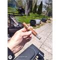 Aladino Habano Rothschild Vintage Selection 4 1/2 * 48