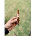 Crowned Heads Mil Dias Edmundo 5 3/8 * 52