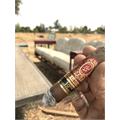 Perdomo Reserve 10th Anniversary Sun Grown Robusto 5  * 54