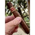 J.C. Newman Yagua Toro 6  * 54