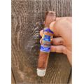 EP Carrillo Pledge Sojourn 6  * 52