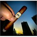 Foundation Charter Oak Habano Toro 6  * 52