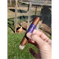 Desvalido Robusto 5  * 50