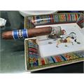 Cohiba Blue Robusto Fresh Pack of 1