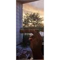 Perdomo Inmenso Seventy Sun Grown Epicure 6  * 70