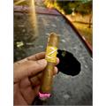Zino Nicaragua Robusto 5  * 54