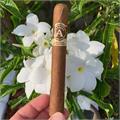 Aladino Habano Toro Vintage Selection 6  * 50