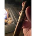 Warped Chinchalle Robusto 5  * 50
