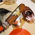 Warped Chinchalle Robusto 5  * 50