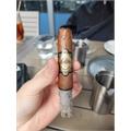 Warped Chinchalle Robusto 5  * 50