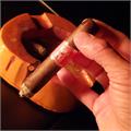 Matilde Limited Exposure No. 1 Toro 6  * 50