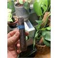 Tatuaje Monster Smash Limited Edition 14-Cigar Sampler