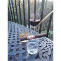 Tatuaje Black Toro Fresh Pack 5-Cigar Sampler