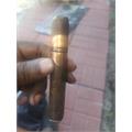 Rocky Patel Disciple Robusto 5  * 50
