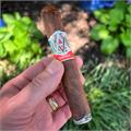AVO Syncro Caribe Robusto 5  * 50