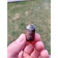 Deadwood Leather Rose Petite Corona 4  * 43