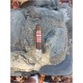 Don Lino Maduro Robusto 5  * 50