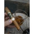 Ferio Tego Limited Edition Elegancia 6  * 50