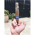 Cohiba Blue 7  * 70