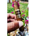 Arturo Fuente Casa Fuente 806 Natural 5 1/4 * 52