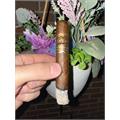Arturo Fuente Casa Fuente Robusto 5 1/4 * 50