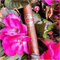 Quesada 1974 Toro 6  * 52