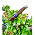 StillWell Star Aromatic No. 1 6  * 52