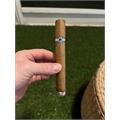 Warped Limited Edition El Oso Blanco 6  * 48